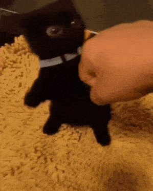 Fiesty Cat Fighting GIF - Fiesty Cat Fighting Hands GIFs