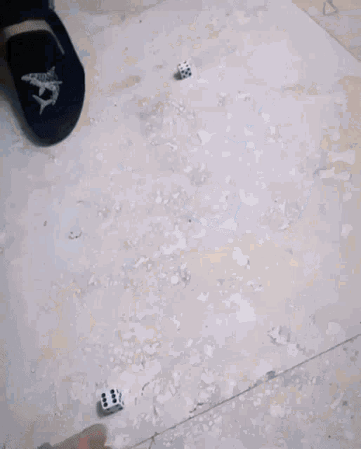 a person wearing a black slipper with a shark on it throws a dice on the floor