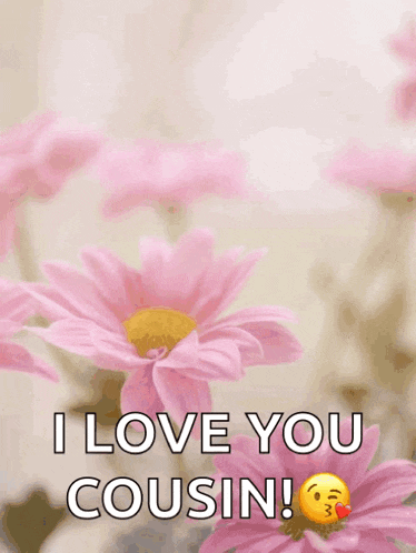 a mother 's day card with pink flowers and the message " i love you cousin "