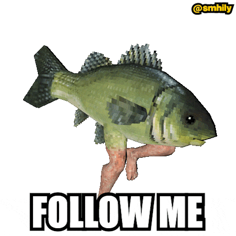 a fish with human legs and the words follow me