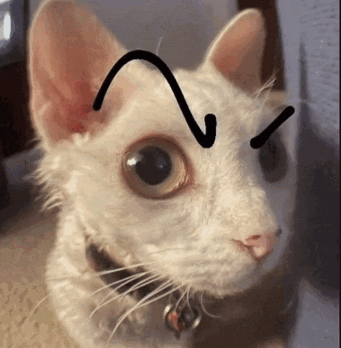 a close up of a white cat with a drawing of a triangle on its face