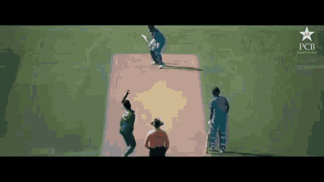 Pakistan Cricket GIF - Pakistan Cricket GIFs