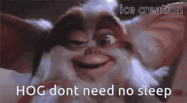 a gremlins character is smiling with the words hog dont need no sleep below it .