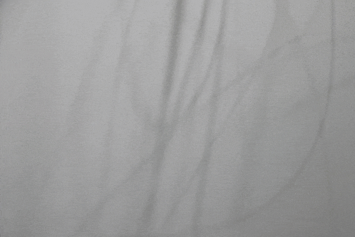 a close up of a white curtain with a shadow of a plant on it .