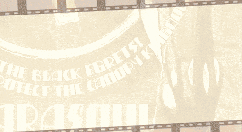 a poster that says the black egrets protect the canopy kingdom on it