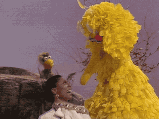Muppet Show Leslie Uggams GIF - Muppet Show Leslie Uggams Big Bird GIFs
