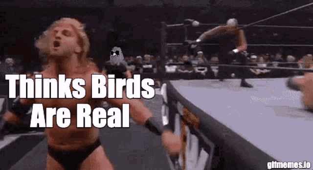 a wrestling match with the words thinks birds are real on the bottom