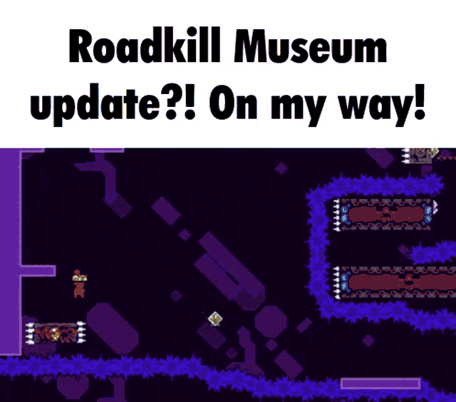 a screen shot of a video game called roadkill museum