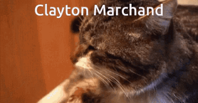 Clayton Marchand Clayton GIF - Clayton Marchand Clayton Big Ben GIFs
