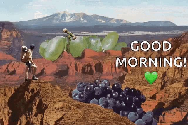 a man is standing on a cliff with a bunch of grapes and blueberries and the words good morning
