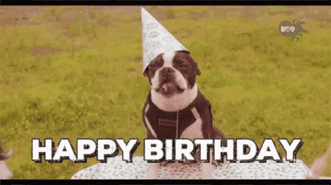 a dog wearing a birthday hat is sitting on a person 's lap and says happy birthday .