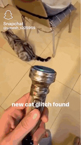 Cat Weird GIF - Cat Weird Glitch GIFs