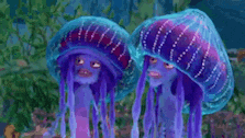 a couple of jellyfish are standing next to each other in the ocean .