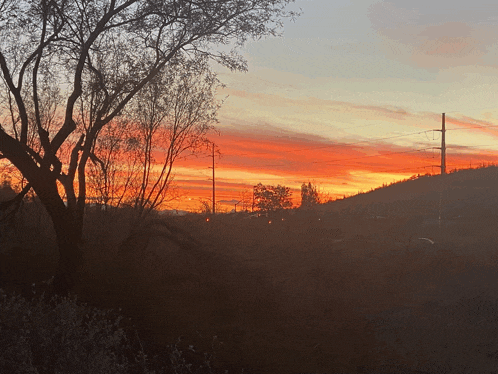 a sunset with a tree in the foreground and a mountain in the background