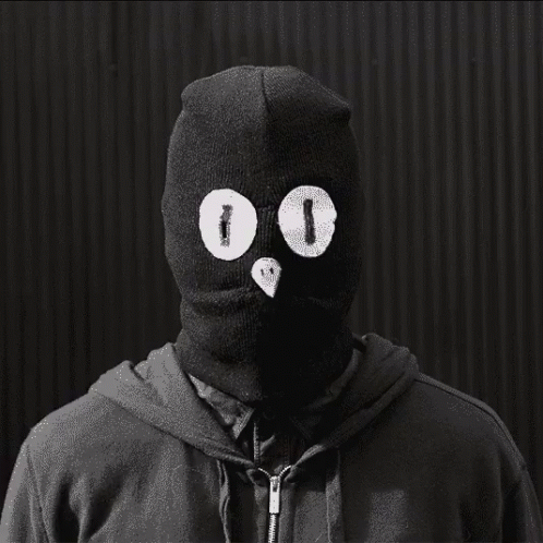 Balaclava Owl GIF - Balaclava Owl Weird GIFs