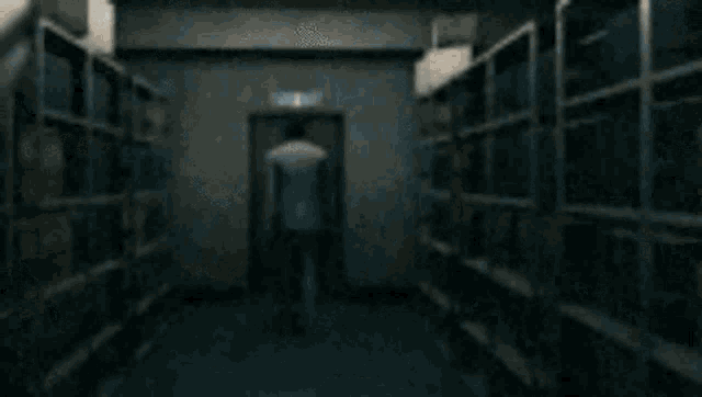 a blurred image of a person walking down a hallway