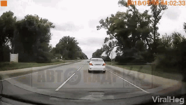 Tree Near Accident GIF - Tree Near Accident Swerve GIFs