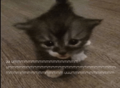 a gray and white kitten is sitting on a wooden floor looking at the camera
