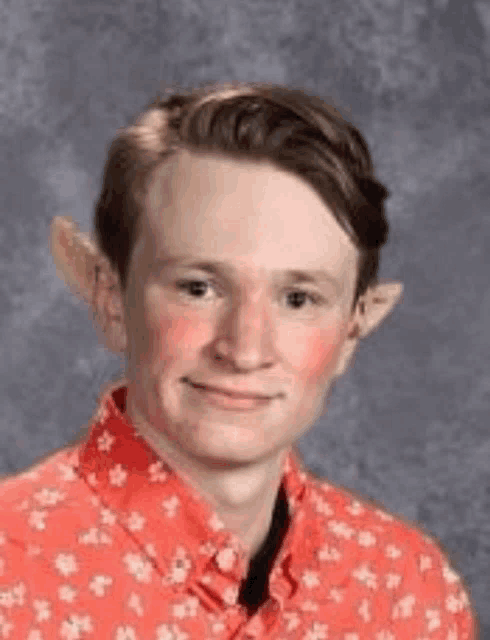 a young man is wearing a red shirt and fake ears .