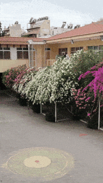 a circle in the middle of a courtyard with purple and white flowers in front of a building