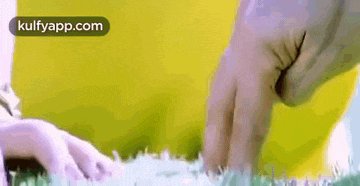 a close up of a person 's hand touching a piece of paper in the grass .