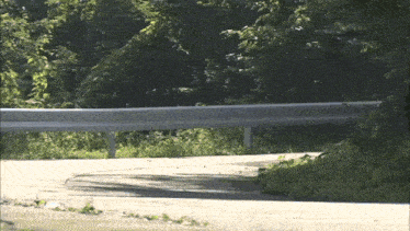 a road with a metal railing and trees on the side