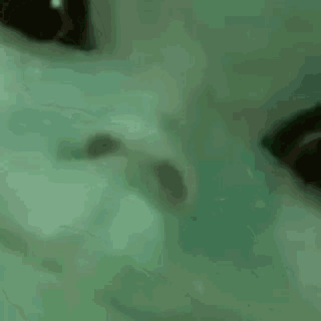 a close up of a person 's face in a bathtub filled with water .