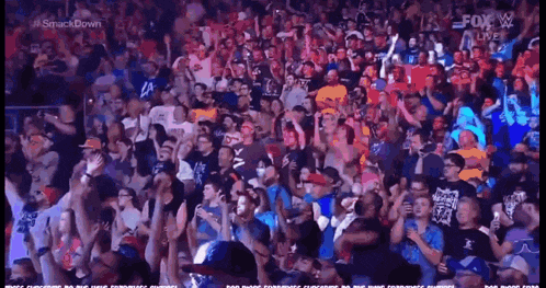 a crowd of people are watching a wrestling match on fox live