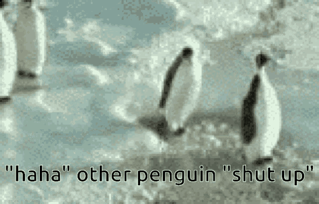 Penguin Shove GIF - Penguin Shove Funny GIFs