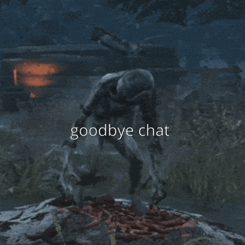 a screenshot of a video game with the words goodbye chat below it