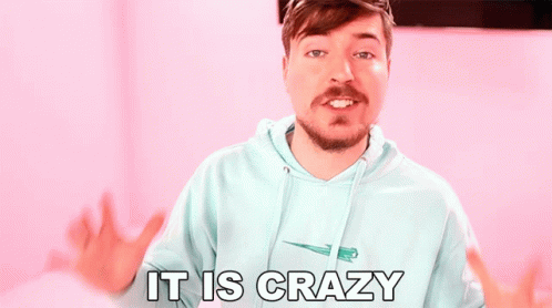 It Is Crazy Mr Beast GIF