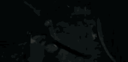 a silhouette of a person standing in the dark with a gun .