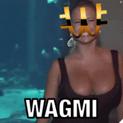 Wagmi Cryptocurrency GIF - Wagmi Cryptocurrency Meme GIFs