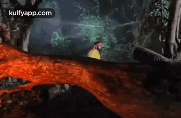 a man in a yellow shirt is standing next to a tree branch in a forest .