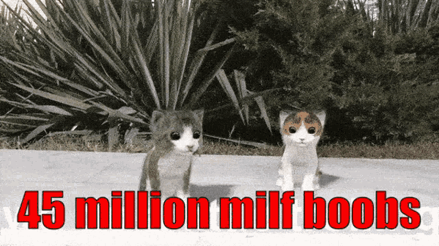two kittens standing next to each other with the words 45 million milf boobs