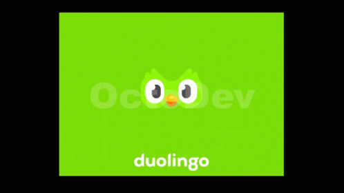 Duolingo GIF - Duolingo GIFs