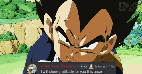 a screenshot of a dragon ball z character says aries aeon of hwehwe