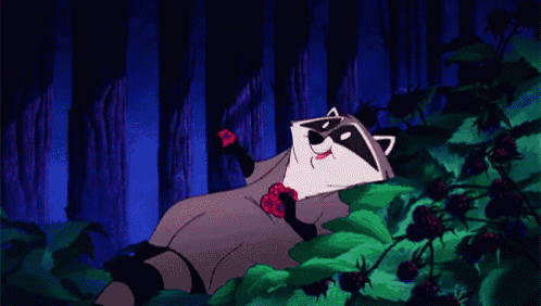 a cartoon raccoon is laying in the woods eating berries