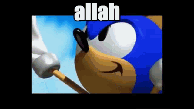 a picture of sonic the hedgehog with the words allah written above him