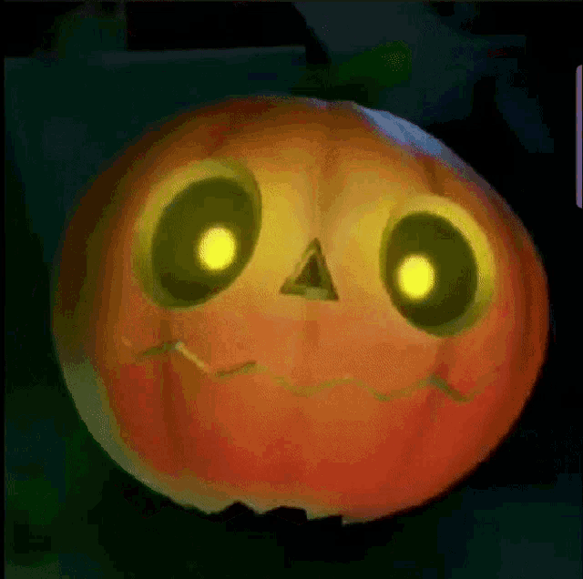 Pumpkin GIF - Pumpkin GIFs