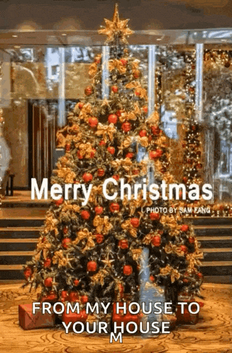 a christmas tree with the words merry christmas from my house to your house below it