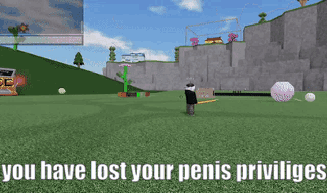 a screenshot of a video game with the words " you have lost your penis privileges "