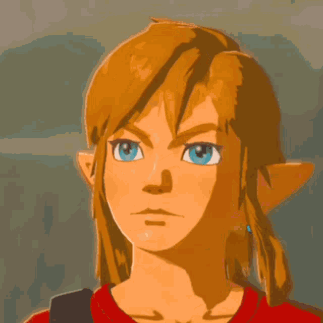 Zelda Link Is Listening Zelda Bot W GIF - Zelda Link Is Listening Zelda Zelda Bot W GIFs