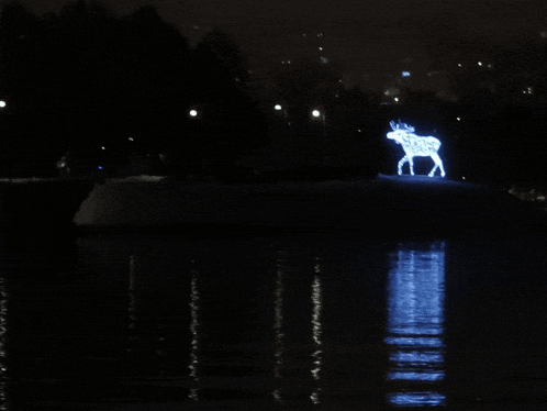 a moose is lit up in the dark near a lake