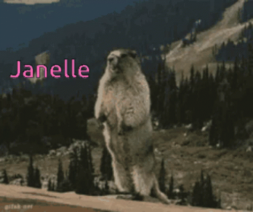 Janelle Beaver GIF