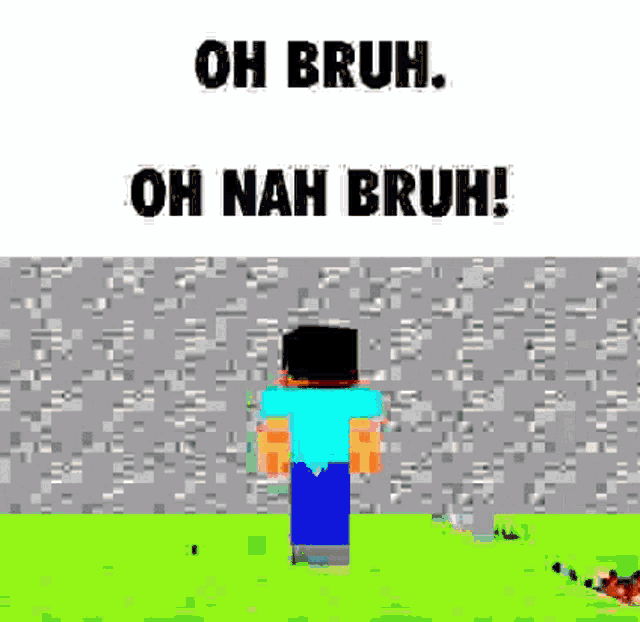 Minecraft Meme GIF