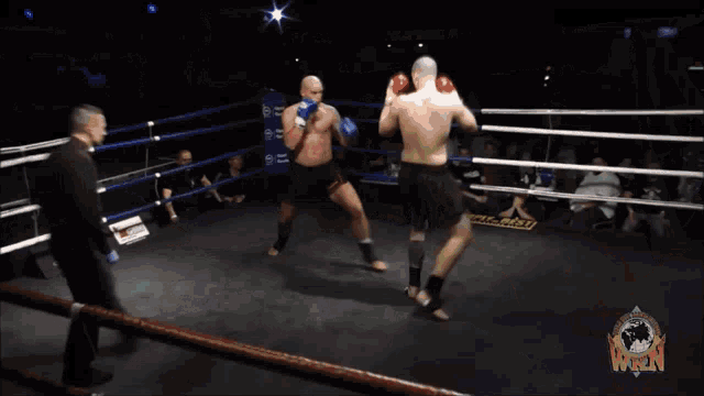 Kickboxing Knockout GIF - Kickboxing Knockout Wkn GIFs