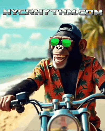 a chimpanzee wearing sunglasses is riding a motorcycle with nycrhythm.com in the background