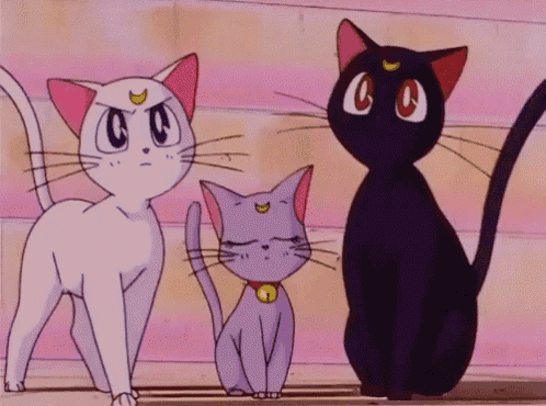 three cartoon cats are standing next to each other with one wearing a collar that says ' a ' on it