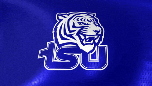 a blue background with a tiger and the letters tsu on it